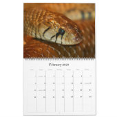 Calendrier d'Atlanta 2012 de zoo (Feb 2026)