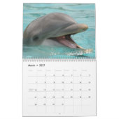 Calendrier dauphins (Mar 2027)