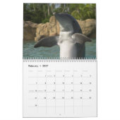 Calendrier dauphins (Feb 2027)