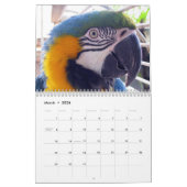 Calendrier d'avant-poste de marais (Mar 2026)