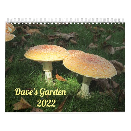 Calendrier Dave's Garden 2022 Calendar (Protection)