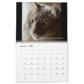 Calendrier Dave's Garden 2025 (Jan 2027)