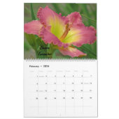 Calendrier Daylilies de MTBobbins - avec des noms - grand (Feb 2026)