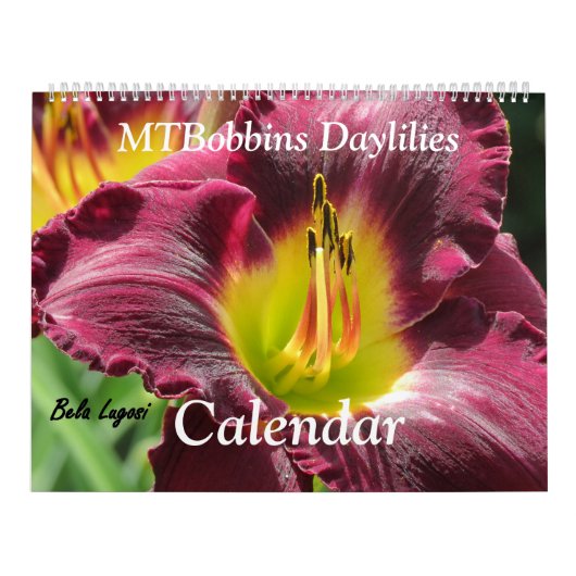 Calendrier Daylilies de MTBobbins - avec des noms - grand (Protection)