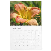 Calendrier Daylilies de MTBobbins - avec des noms - grand (Jan 2026)