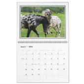 Calendrier de 12 chevaux de mois beau, grand (Mar 2026)