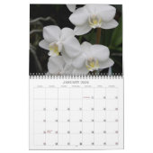 Calendrier de 12 mois (Jan 2026)