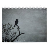 Calendrier de 12 mois (Protection)