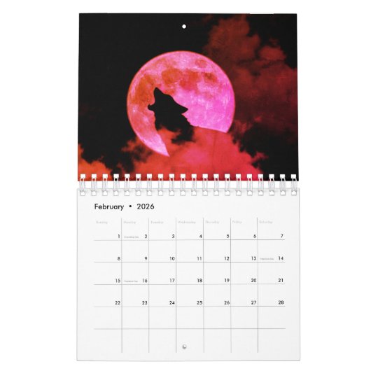 Calendrier de 12 mois (Feb 2026)