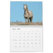Calendrier de 12 mois 2022 de MustangWild  (Mar 2027)
