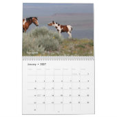 Calendrier de 12 mois 2022 de MustangWild  (Jan 2027)