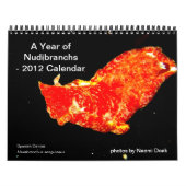 Calendrier de 12 mois avec photos de Nudibranchs (Protection)
