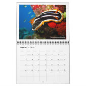 Calendrier de 12 mois avec photos de Nudibranchs (Feb 2026)