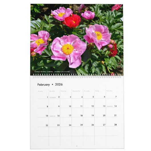 Calendrier de 12 mois de diverses fleurs (Feb 2026)