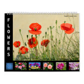 Calendrier de 12 mois de diverses fleurs (Protection)