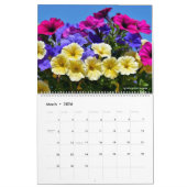 Calendrier de 12 mois de diverses fleurs (Mar 2026)