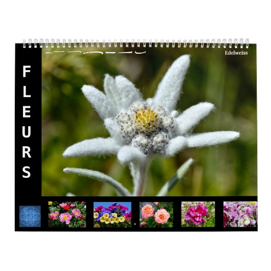 Calendrier de 12 mois de diverses fleurs (Protection)