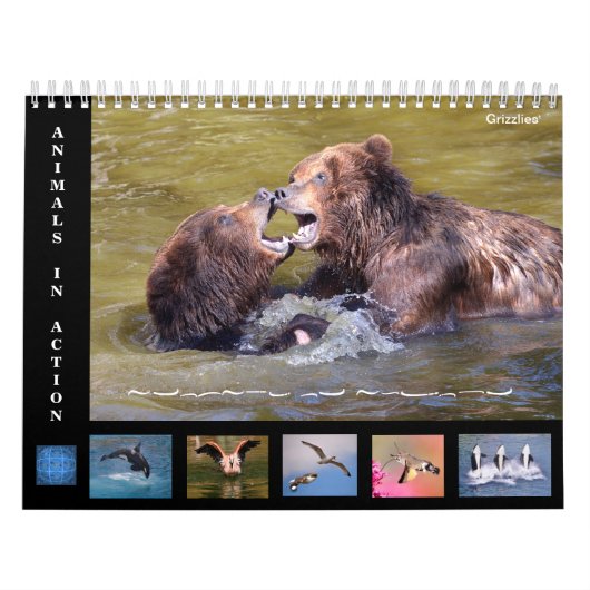 Calendrier de 12 mois des animaux en action (Protection)
