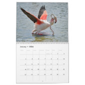 Calendrier de 12 mois des animaux en action (Jan 2026)