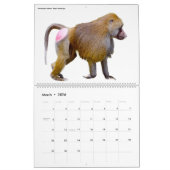Calendrier de 12 mois divers animaux isolés (Mar 2026)