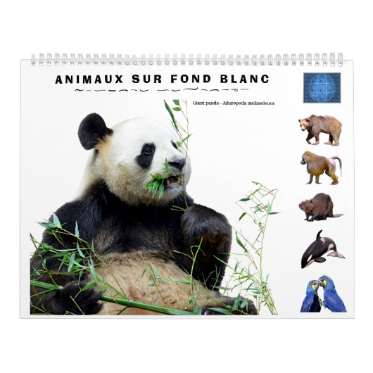 Calendrier de 12 mois divers animaux isolés (Protection)
