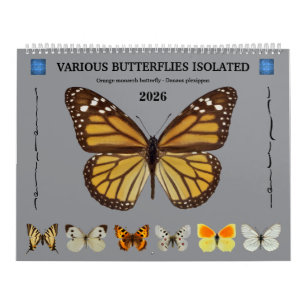 Calendrier de 12 mois divers papillons