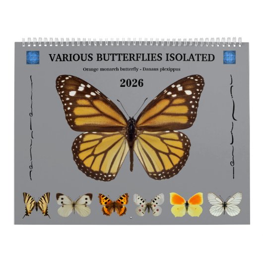 Calendrier de 12 mois divers papillons (Protection)