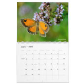Calendrier de 12 mois divers papillons (Mar 2026)