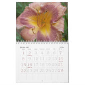 Calendrier de 2008 Daylilies - customisé (Feb 2026)