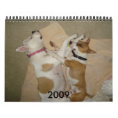 Calendrier de 2009 chiens - customisé - C… - (Protection)