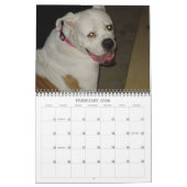 Calendrier de 2009 chiens - customisé - C… - (Feb 2026)