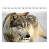 Calendrier de 2009 loups (Protection)