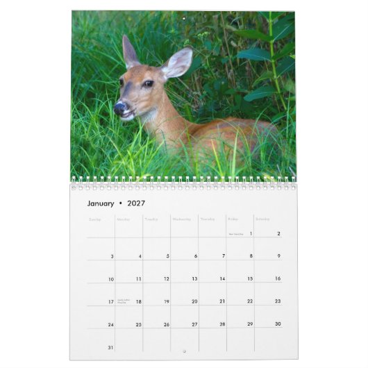 Calendrier de 2012 amants de cerfs communs (Jan 2027)