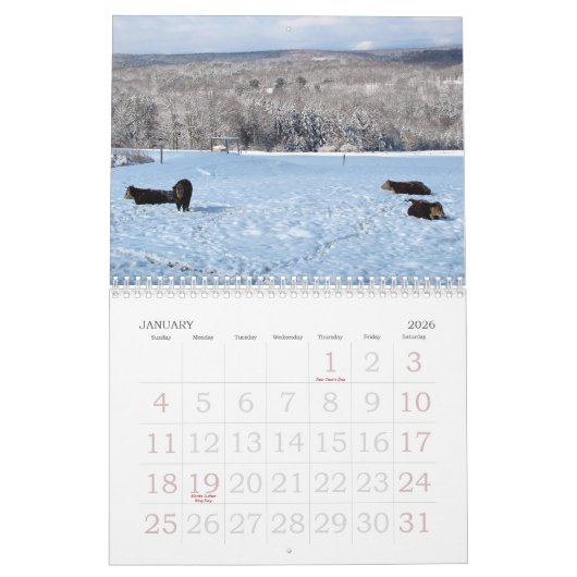 Calendrier de 2013 vaches (Jan 2026)