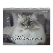 Calendrier de 2014 de Sibériens chats et de (Protection)