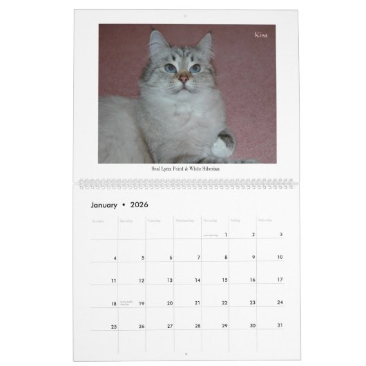 Calendrier de 2014 de Sibériens chats et de (Jan 2026)