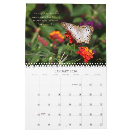 Calendrier de 2014 inspirations - papillons (Jan 2026)