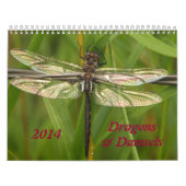 Calendrier de 2014 libellules et de Damselflies (Protection)