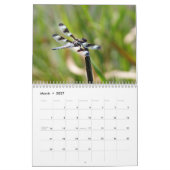 Calendrier de 2014 libellules et de Damselflies (Mar 2027)