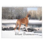 Calendrier de 2015 boxeurs d'exposition (Protection)
