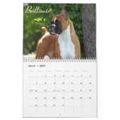 Calendrier de 2015 boxeurs d'exposition (Mar 2027)