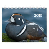 Calendrier de 2015 canards (Protection)