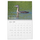 Calendrier de 2015 canards (Mar 2027)