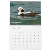 Calendrier de 2015 canards (Feb 2027)