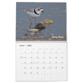 Calendrier de 2015 charadriidés (Mar 2026)
