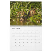 Calendrier de 2015 grands chats par la photo de (Mar 2026)