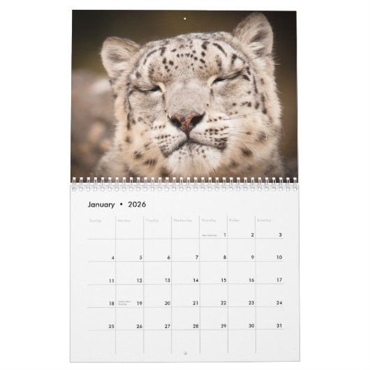Calendrier de 2015 grands chats par la photo de (Jan 2026)