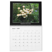Calendrier de 2016 champignons (Mar 2027)
