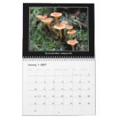 Calendrier de 2016 champignons (Jan 2027)