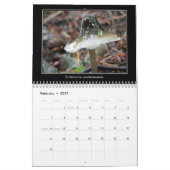 Calendrier de 2016 champignons (Feb 2027)